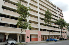 Blk 140 Petir Road (Bukit Panjang), HDB 5 Rooms #208382